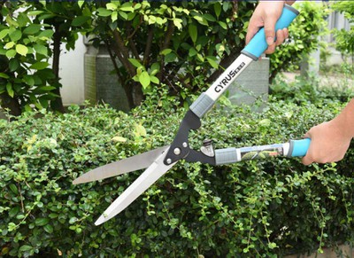 Hedge-Shears1 Hedge-Shears1