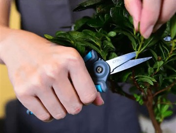 Mengapa kami melancarkan gunting baru dan lebih besar