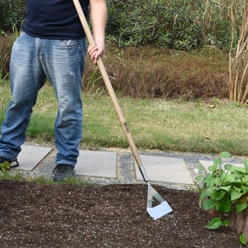 Faedah Memulakan Kebun Sayuran