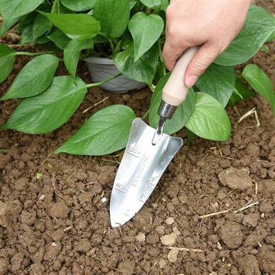 Taman Penanaman Diari -1