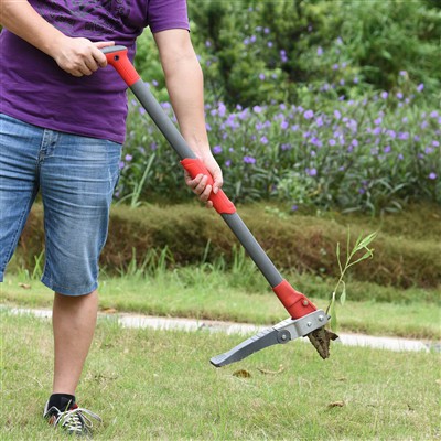 Berdiri Weeder untuk Weeding Tanpa Mudah