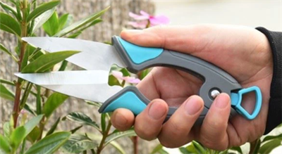 Secateurs Dan Pruners