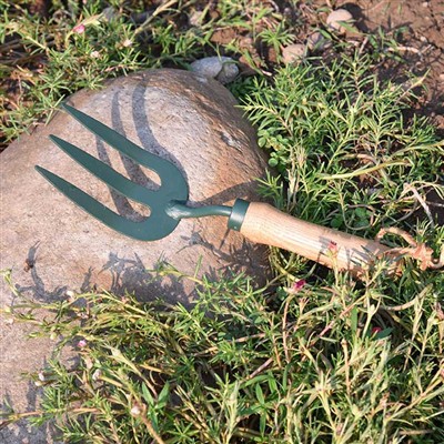 Pengembaraan Setiap Hari The Garden Tools