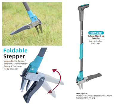 Meraikan Festival Pertengahan Musim Gugur Di Seluruh Dunia: Keharmonian Tradi...