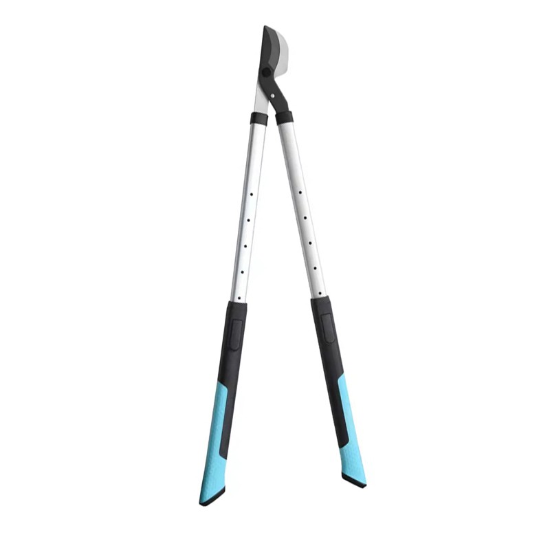 Loppers yang dikendalikan lama