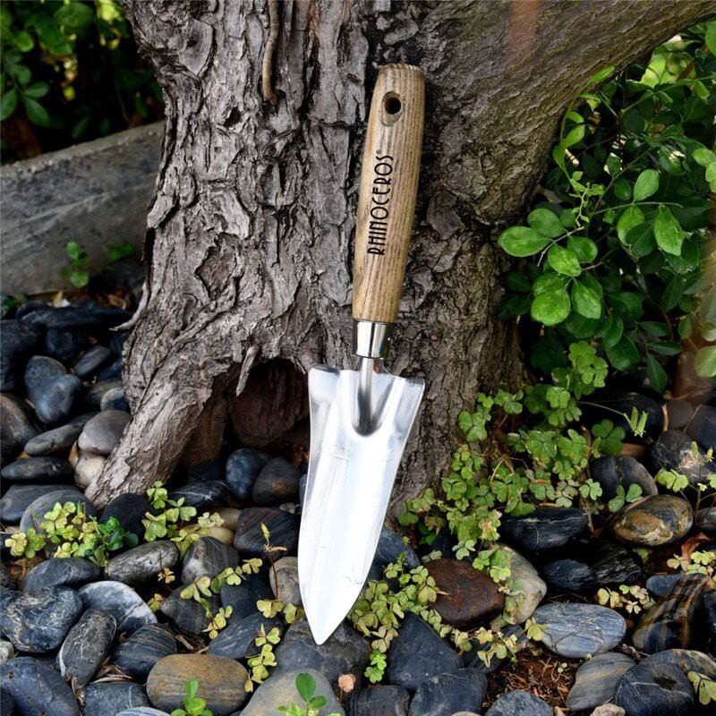 best transplanter best transplanter