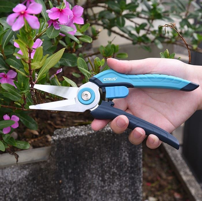 Straight Pruning Shears